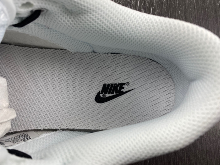 nike dunk low ndl0110