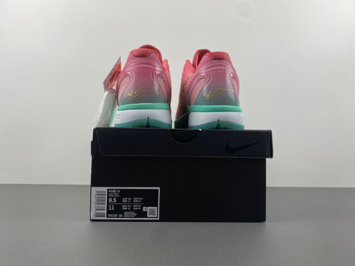 nike kobe 6 nk60325