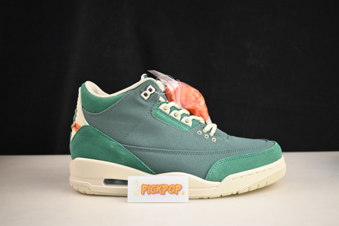 nina Ch*el abney x air jordan 3 fz7974-300