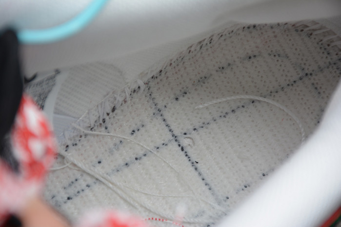 frame skate nike sb dunk low ct2550-600