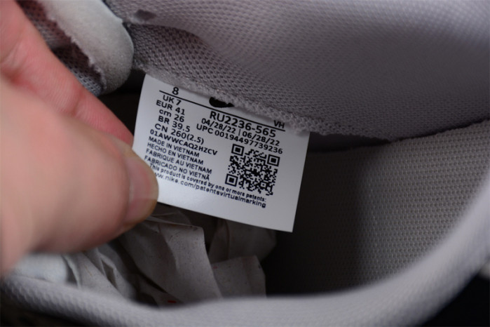 nike sb dunk low nsb0609