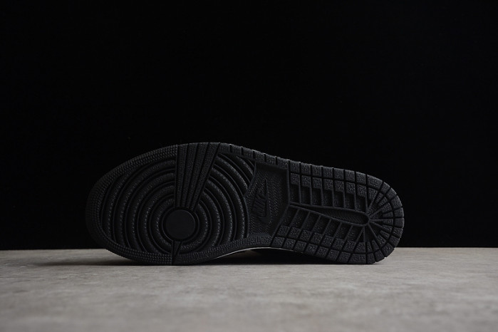 air jordan 1 high og “twist 2.0” dz2523-001