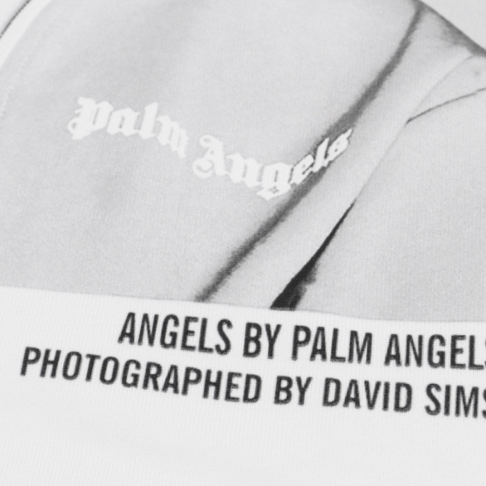 Palm Ange*27