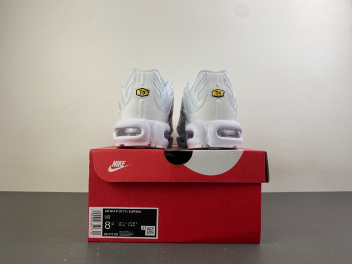 Nike Air Max Plus TN 