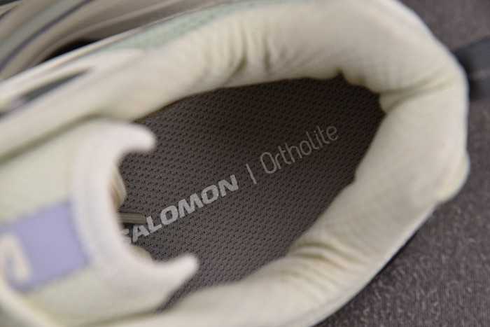 Salomon XT-6 SNEAKERS L478101