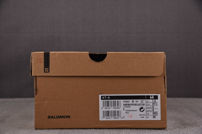 Salomon XT-6 SNEAKERS L4758220