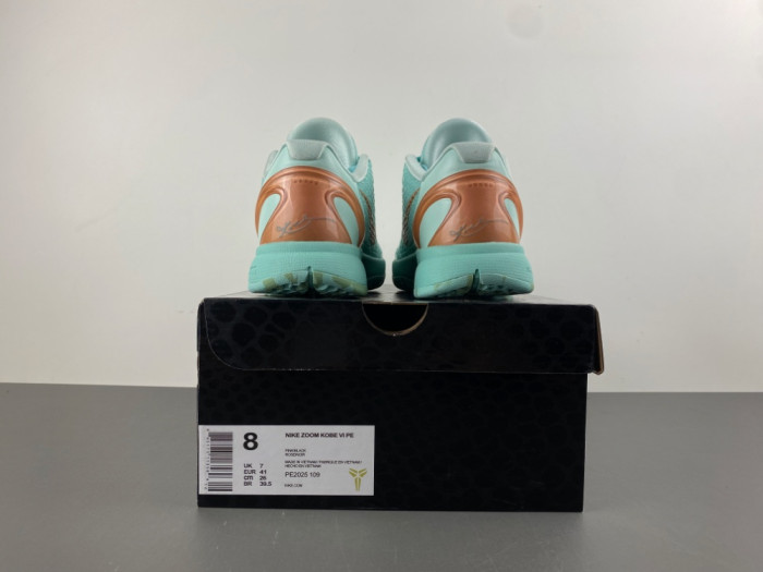 Nike Kobe 6 PE FE2025-109