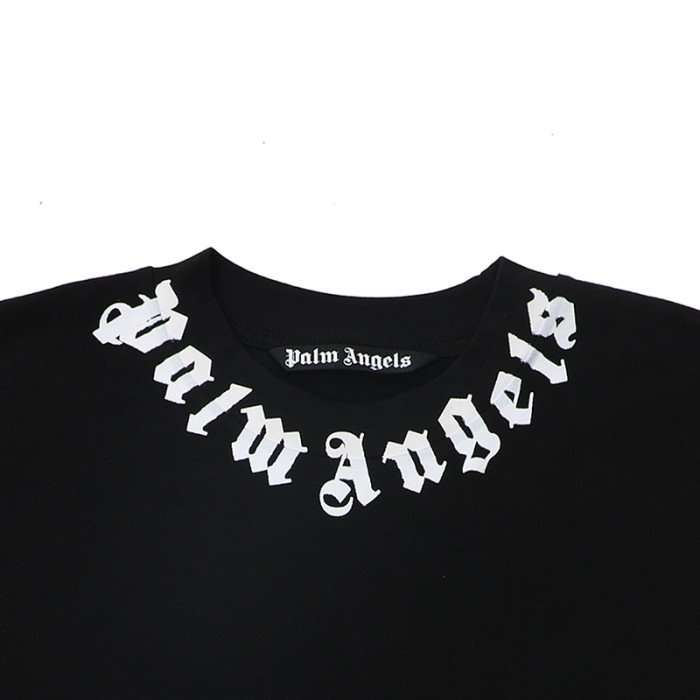 Palm Ange*24